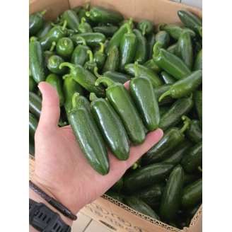 Перець Халапеньйо свіжий 1 кг